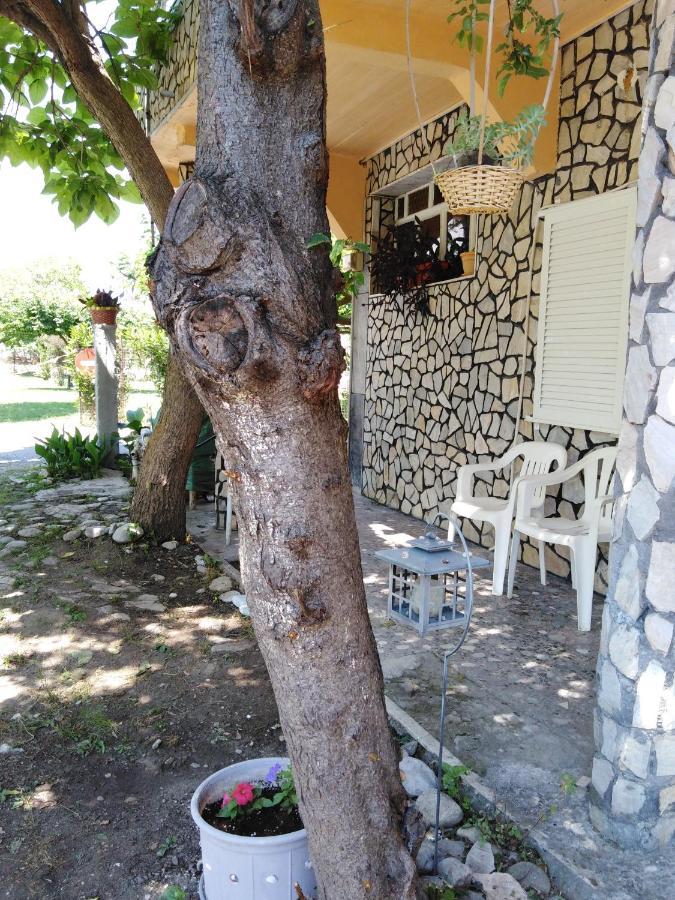 Miltos Rooms Лептокария Екстериор снимка